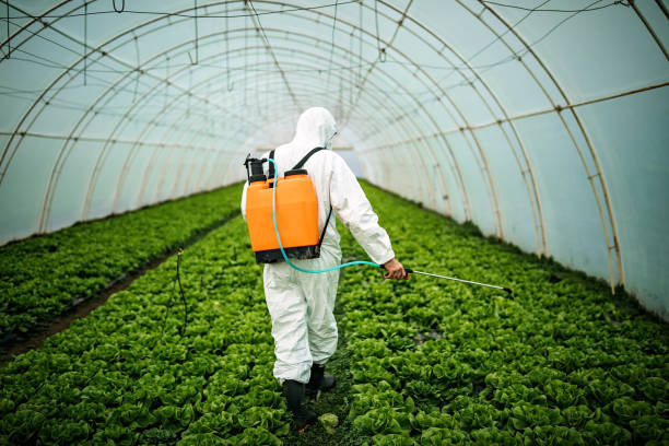 Best Pest Removal Services  in Churchville, PA