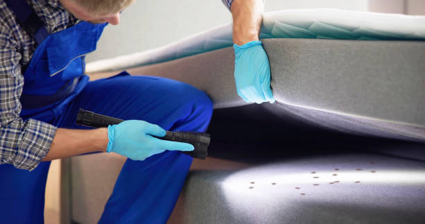 Best Pest Control Treatment  in Churchville, PA