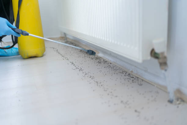 Professional Pest Control in Churchville, PA